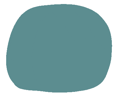 Circle Sticker