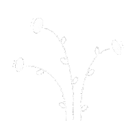 Art Design Sticker