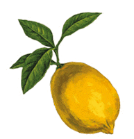 Stickers Fruit Sticker by Les Néréides