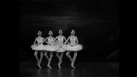 swan lake dance GIF