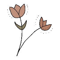 cajadetul flower plants flores tulip Sticker