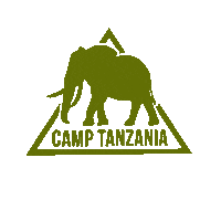 camp tanzania Sticker by Camps International