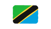 emojivid emoji flag emojivid tanzania Sticker
