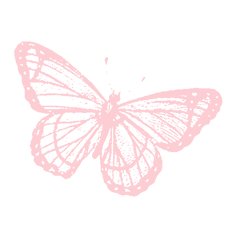 SpiritusNaturae giphyupload bebe papillon carte étape Sticker