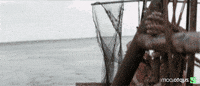 To The Moon Bitcoin GIF by Zypto