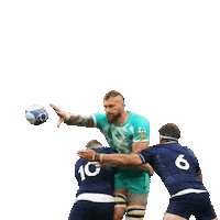 South Africa Rugby Sticker by GrowZA
