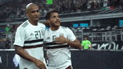 liga mx football GIF by MiSelecciónMX