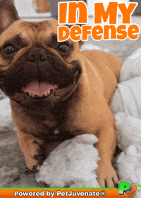 Henlo Hooman Fren GIF by PetJuvenate - PJ