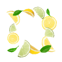 Fruit Frame Sticker by KETEL 1 Hard Lemonade