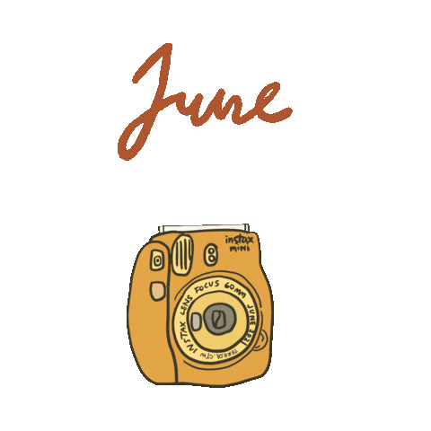 Polaroid June Sticker