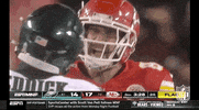 National Football League GIF by NFL