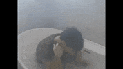 Sad Thinking GIF by Spencer Sutherland