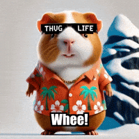 Guinea Pig Winter GIF by Guinea Gambino