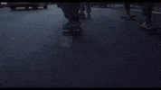 GIF by Filmin