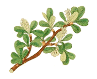 Thecollagetherapy Sticker by DIMENTIA