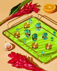 Amazon Rainforest Gin GIF by AMERICAE