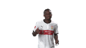 happy vfb stuttgart Sticker by Bundesliga