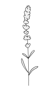 flowers Sticker by CAM Jewelry