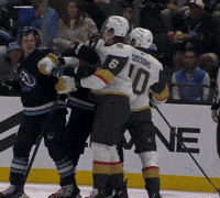 Vegas Golden Knights Punch GIF