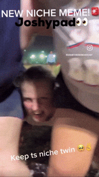 Instagram Insta GIF