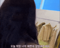 Beauty Joy GIF