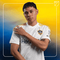 Excited Lets Go GIF by Major League Soccer