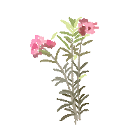 Loop Flower Sticker