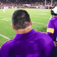 College Football GIF by LSU Tigers