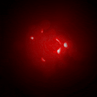loop GIF