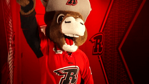 Yes Yes Yes Hockey GIF by Rapid City Rush