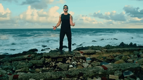 Luis Fonsi GIF by reactionseditor
