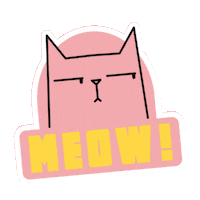Cat Reaction Sticker