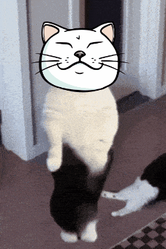 Dance GIF by ShiroNeko