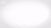 See Red Bull GIF by FC Red Bull Salzburg