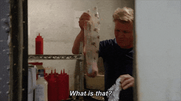 yell gordon ramsay GIF by Gordon Ramsay's 24 Hours to Hell and Back
