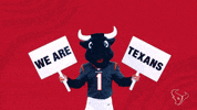Get Up Nfl GIF by Houston Texans