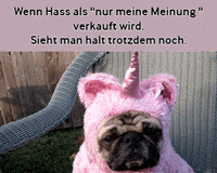 pug mops GIF by Democratic Meme Factory