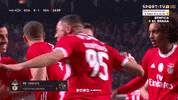 Sl Benfica Hug GIF by Sport Lisboa e Benfica
