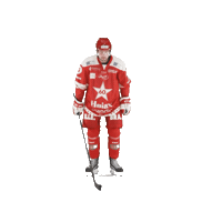 Stjernenalag Sticker by StjernenHockey