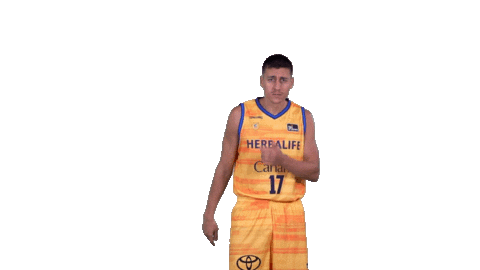 Liga Endesa Basketball Sticker by ACB