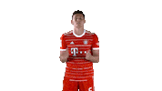 French Football Sticker by FC Bayern Munich