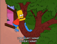 bart simpson episode 3 GIF