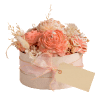 Pink Orange Sticker by Memoluxe