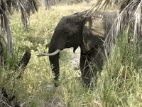 Earth Science Education GIF by DIIMSA Stock