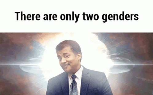 Roosterioi giphyupload GIF