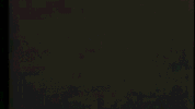 samgurry dance party trippy space GIF