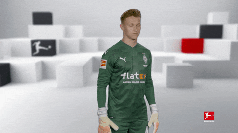 Posing Line Up GIF by Bundesliga