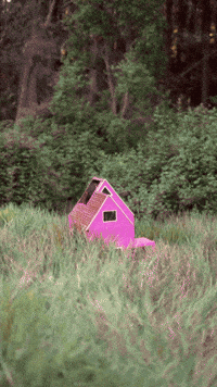 simoniamusica chile chilena chilean musicachilena GIF