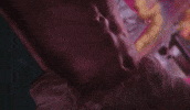 Happy Six Pack GIF by Miss Petty