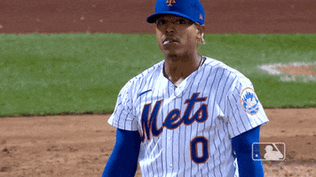 Happy Ny Mets GIF by New York Mets